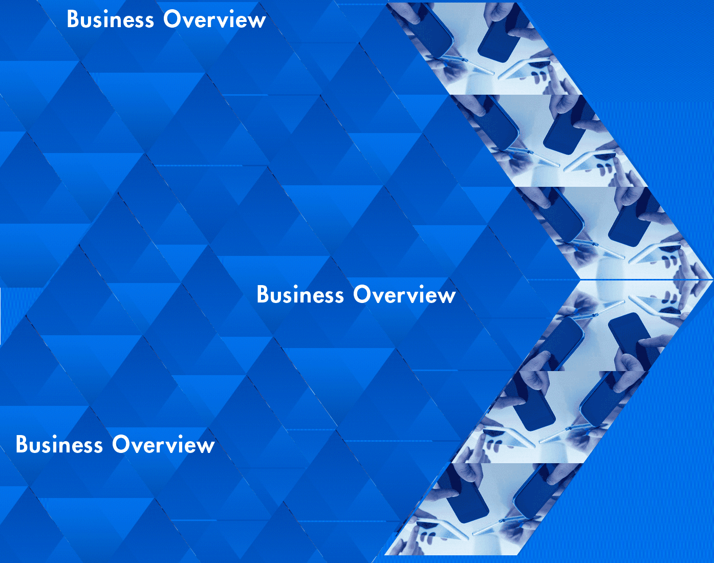 Business Overview